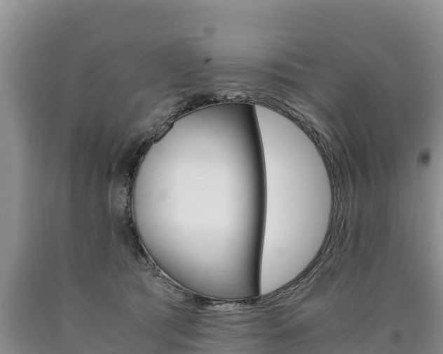 X0000090880417200707271021