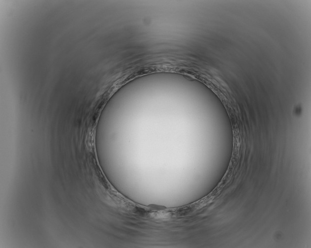 X0000090880419200707271021