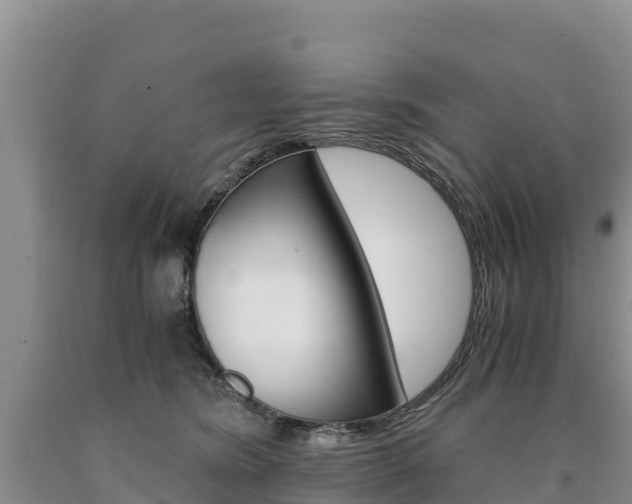 X0000090880420200707271021