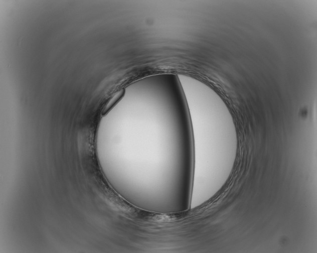 X0000090880421200707271021