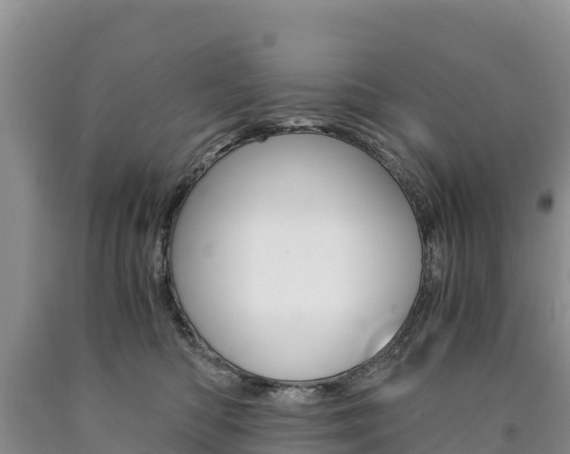 X0000090880422200707271021