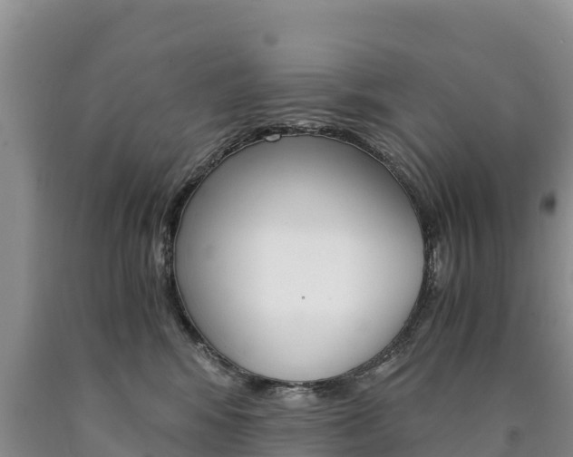 X0000090880424200707271021