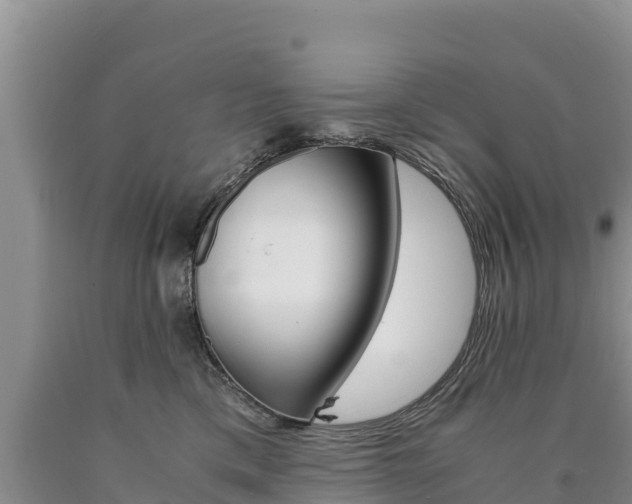 X0000090880425200707271021