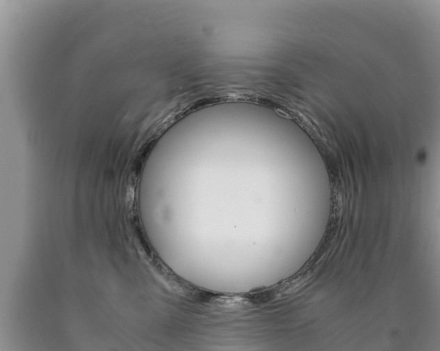 X0000090880427200707271021