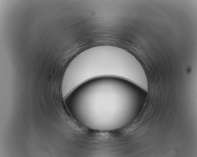 X0000090880428200707271021