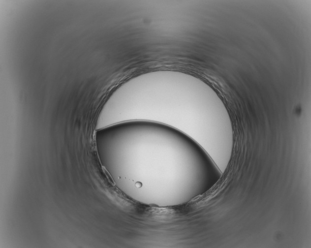X0000090880429200707271021