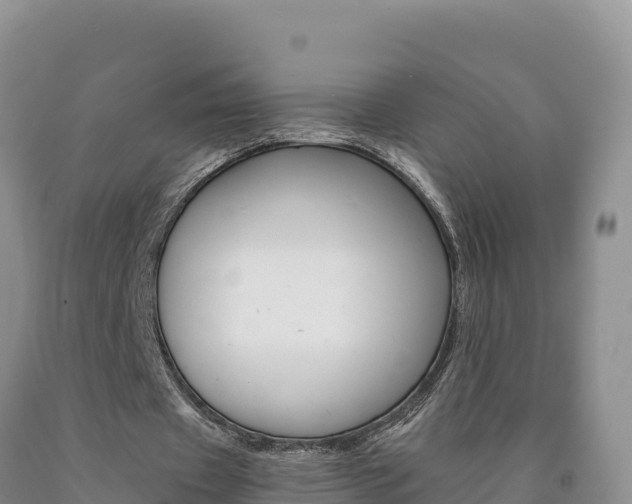 X0000090880433200707271020