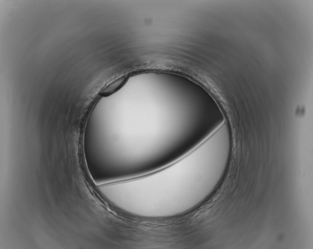 X0000090880434200707271020