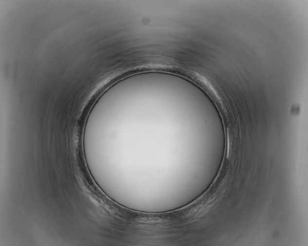X0000090880435200707271020