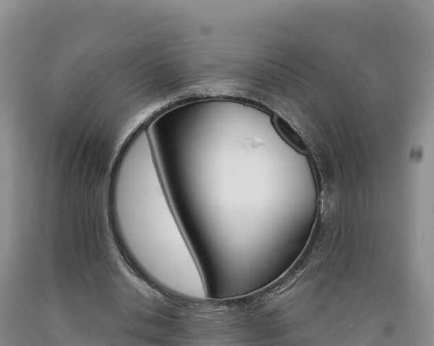 X0000090880438200707271020