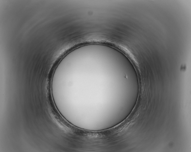 X0000090880439200707271020