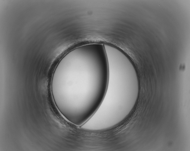 X0000090880440200707271020