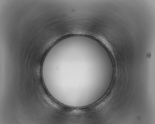 X0000090880441200707271020