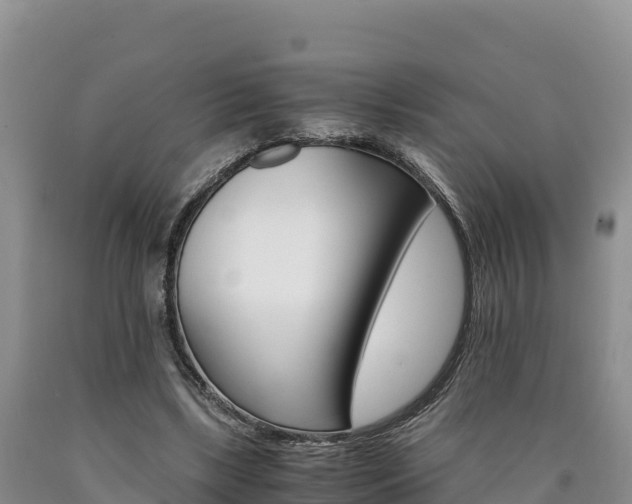 X0000090880443200707271020