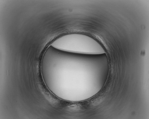 X0000090880447200707271020