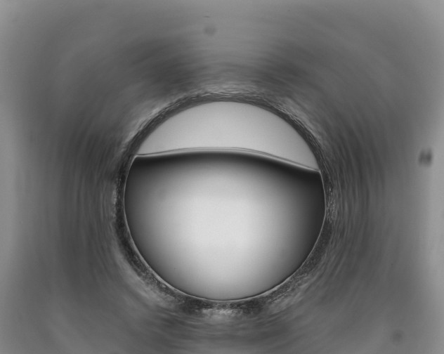 X0000090880448200707271020