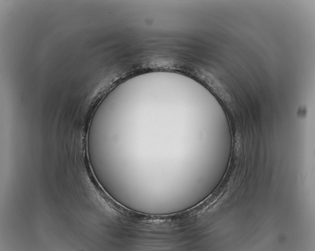 X0000090880449200707271020