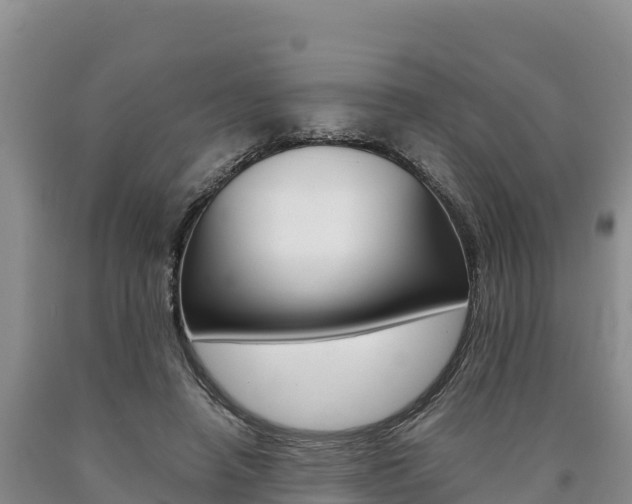 X0000090880450200707271020