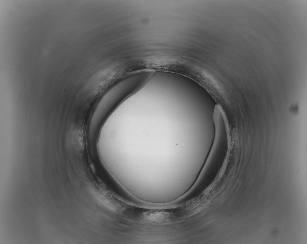 X0000090880452200707271020