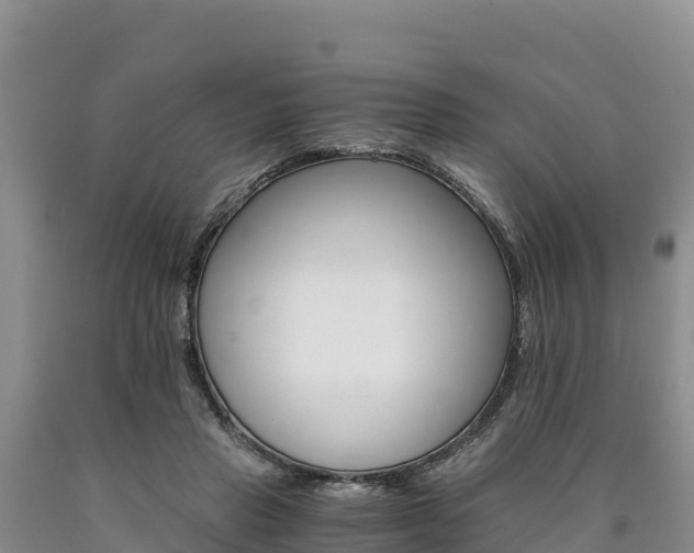 X0000090880453200707271020
