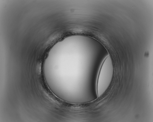 X0000090880454200707271020