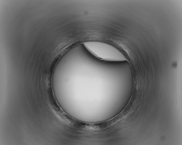 X0000090880455200707271020