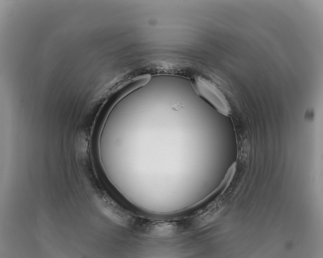 X0000090880456200707271020