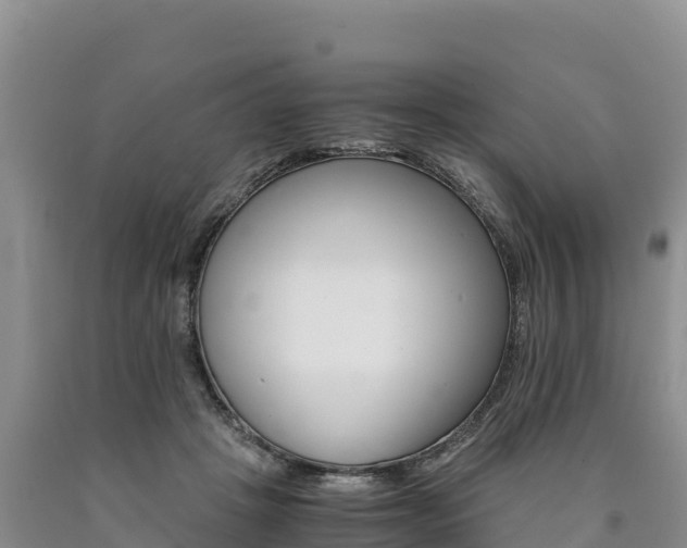 X0000090880457200707271020