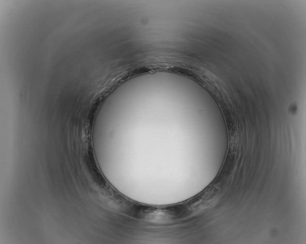X0000090880460200707271020