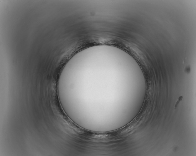 X0000090880461200707271020