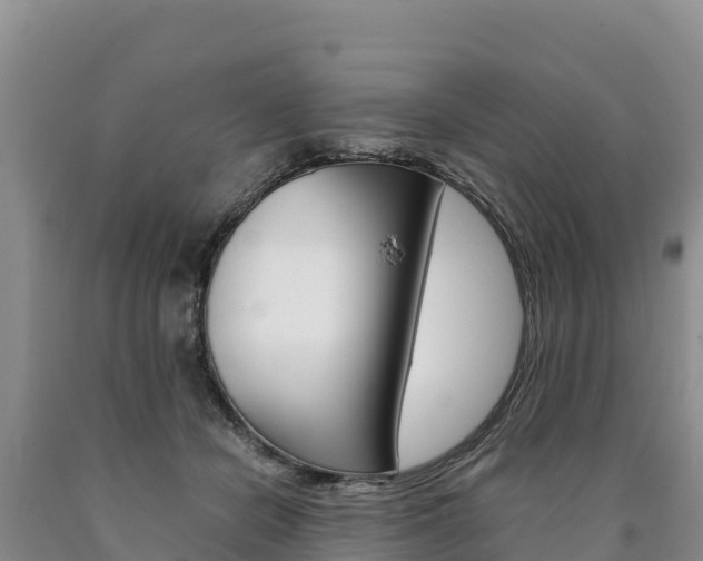 X0000090880462200707271020