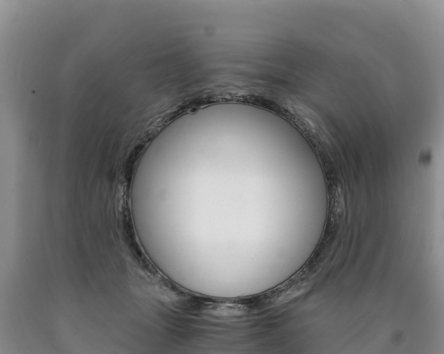 X0000090880463200707271020