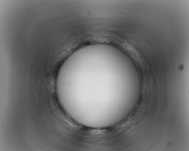 X0000090880465200707271020