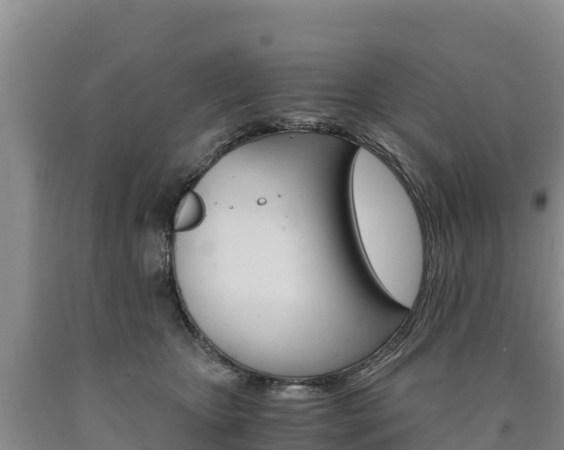 X0000090880467200707271020