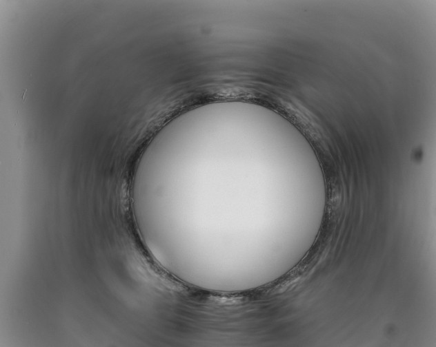 X0000090880469200707271020