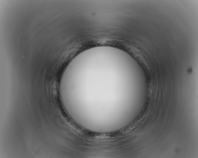 X0000090880470200707271021