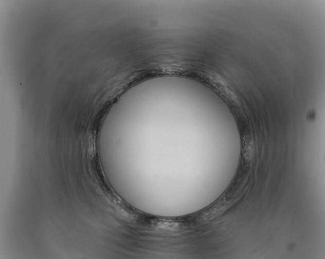 X0000090880471200707271021