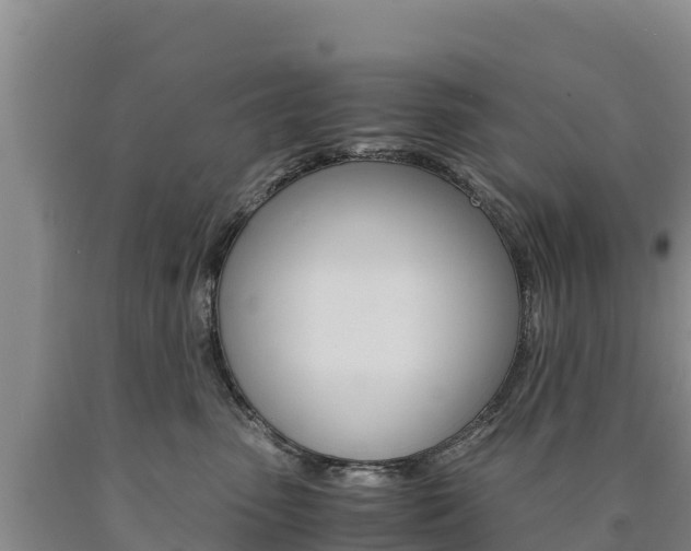 X0000090880475200707271021