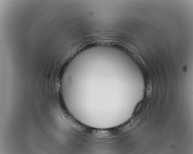 X0000090880476200707271021