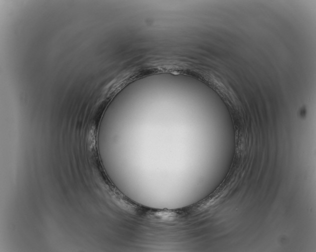 X0000090880478200707271021