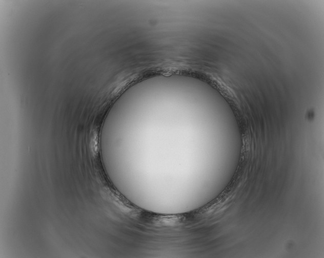 X0000090880479200707271021
