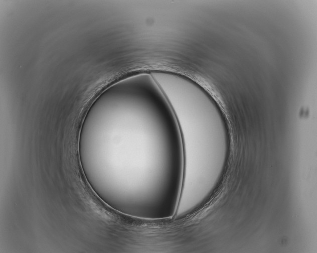 X0000090880481200707271020