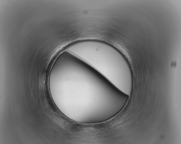 X0000090880483200707271020