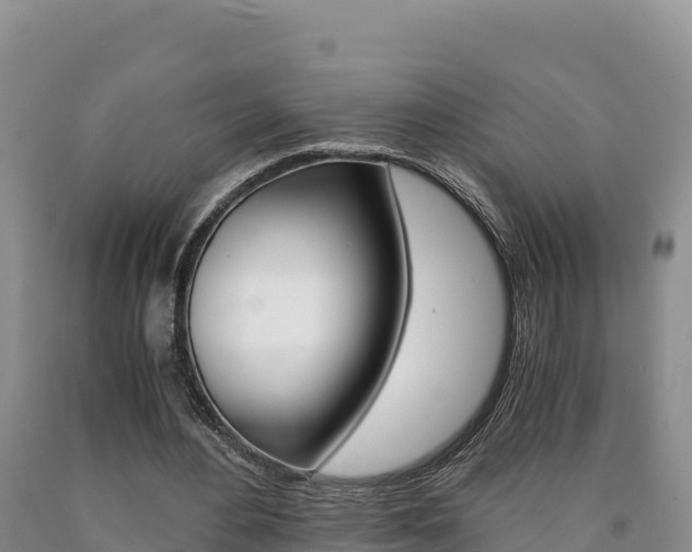 X0000090880484200707271020