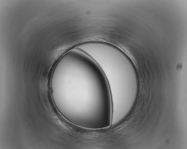 X0000090880485200707271020