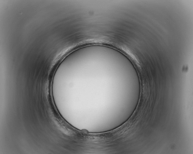 X0000090880486200707271020