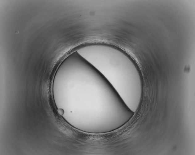 X0000090880487200707271020