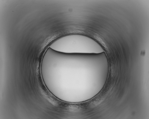 X0000090880490200707271020