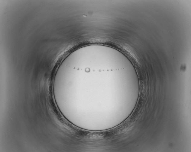 X0000090880491200707271020