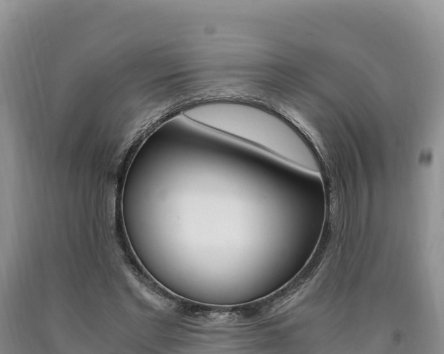X0000090880493200707271020